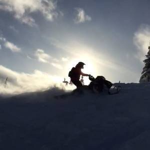 Meet your Posher, Dylan